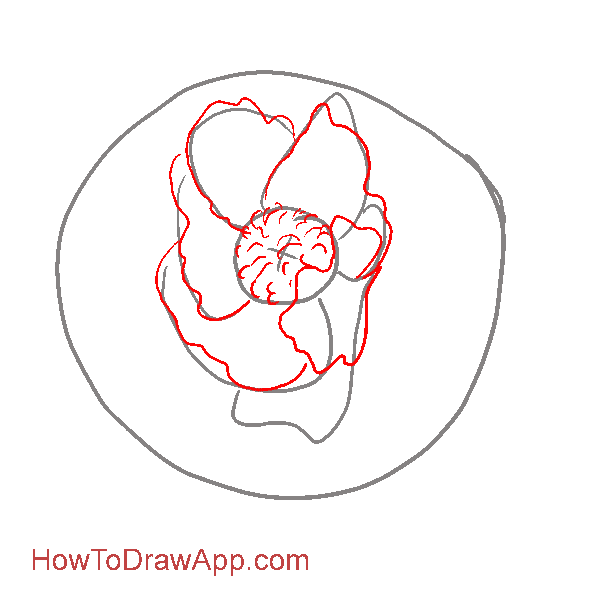 Draw the middle part of the flower with more details and make petals of the first row wavy.