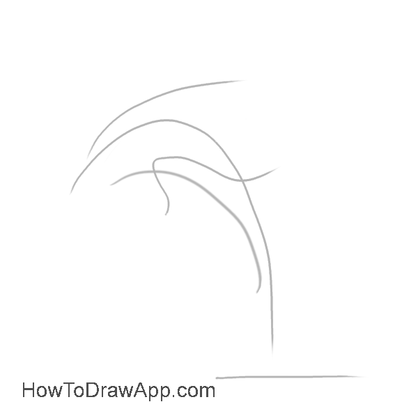 How to draw a dolphin 01