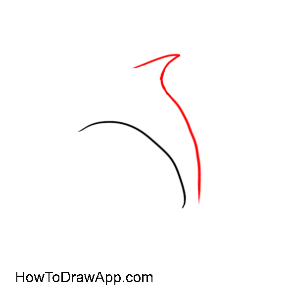 How to draw a dolphin 03