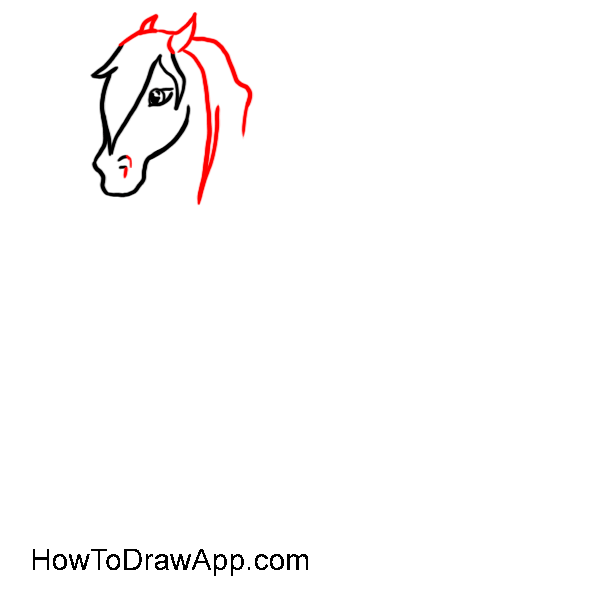 How to draw a horse 03