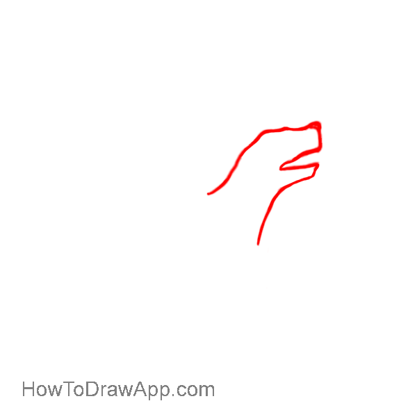 How to draw a dog 02