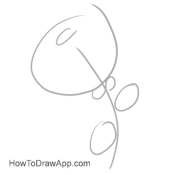 How to draw a rose step-by-step