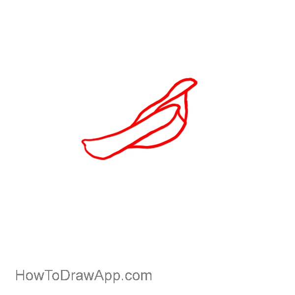 How to draw a rose 02