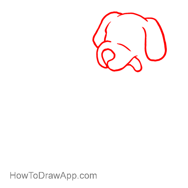 How to draw Dalmatian 02