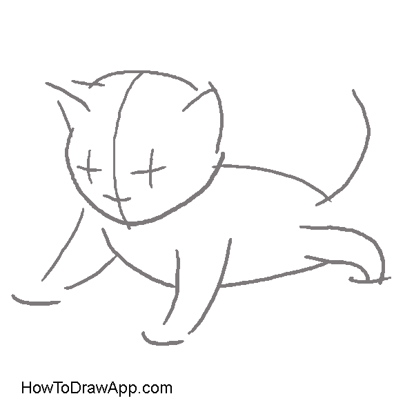 Drawing a kitten