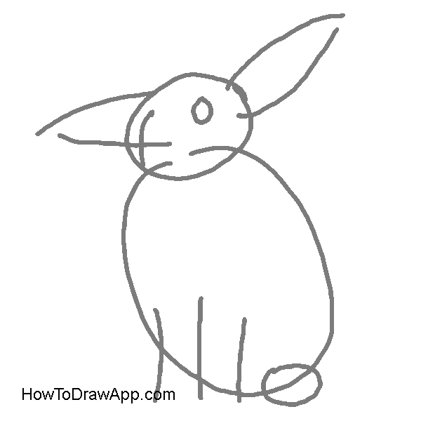 How to draw a rabbit step-by-step