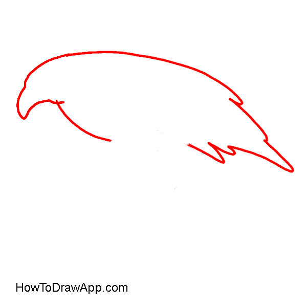 How to draw an eagle