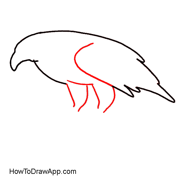 How to draw an eagle step-by-step