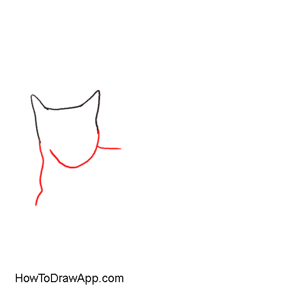 How to draw a cat face