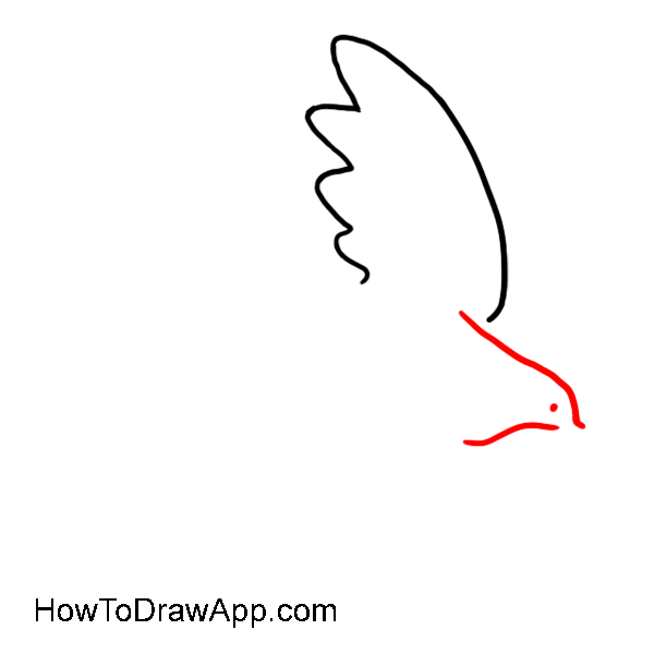How to draw a dove of peace 03