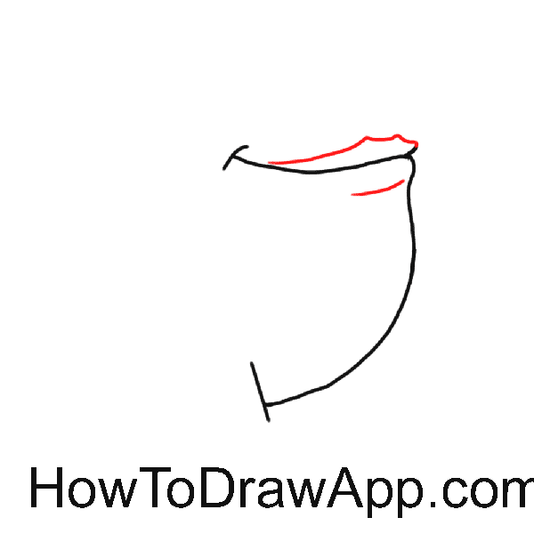 How to draw a frog 04