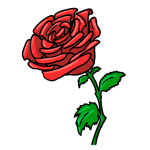 How to draw a red rose easy step by step